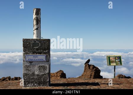 Mirador Roque de Los Muchachos con corvo a la Palma, Isole Canarie, Spagna Foto Stock