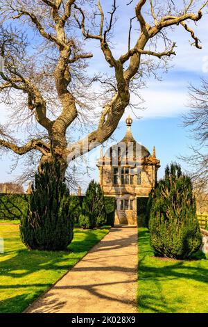 Gli arti ritorti di un dolce castagno e un gazebo di pietra nel parco di Montacute House, Somerset, Inghilterra, Regno Unito Foto Stock