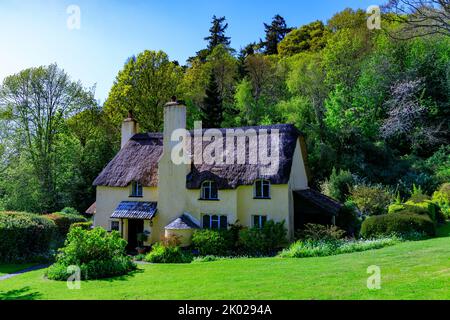 Bow Cottage è un attraente cottage in paglia a Selworthy Green sulla Holnicote Estate, Somerset, Inghilterra, Regno Unito Foto Stock