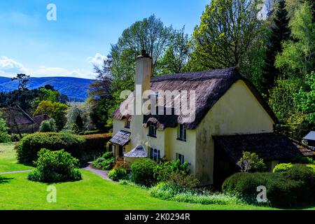 Bow Cottage è un attraente cottage in paglia a Selworthy Green sulla Holnicote Estate, Somerset, Inghilterra, Regno Unito Foto Stock