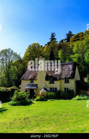 Bow Cottage è un attraente cottage in paglia a Selworthy Green sulla Holnicote Estate, Somerset, Inghilterra, Regno Unito Foto Stock