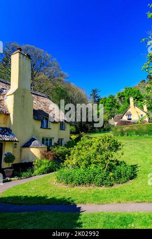 Bow Cottage è un attraente cottage in paglia a Selworthy Green sulla Holnicote Estate, Somerset, Inghilterra, Regno Unito Foto Stock