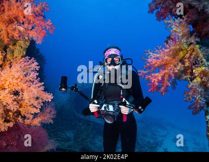Un fotografo subacqueo che tiene la sua macchina fotografica nuotare tra alcuni bellissimi coralli colorati e morbidi Foto Stock