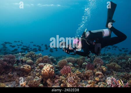 Un fotografo subacqueo che fotografa la barriera corallina e una scuola di pesci sullo sfondo Foto Stock