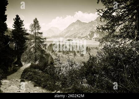 Passeggiate intorno al lago di Sils - Engadina alta valle - Svizzera - immagine in bianco e nero Foto Stock