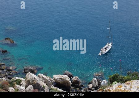 L'urlo del gabbiano di aringa nel suo ambiente naturale delle Isole Tremiti, Mare Adriatico, Puglia, Italia Foto Stock