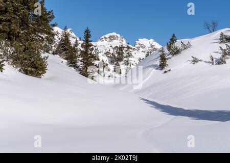 Escursione con le racchette da neve sull'Arlberg, piste nella neve Foto Stock