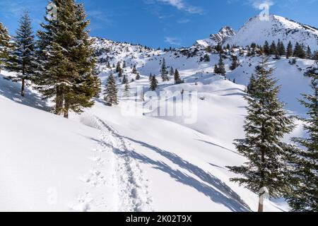 Escursione con le racchette da neve sull'Arlberg, piste nella neve Foto Stock