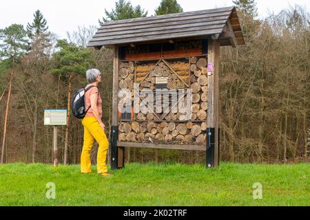 Donna, insetto hotel vicino a Mannebach, Traumschleifen, Saar-Hunsrück, sentiero escursionistico Mannebach 111, Saarburger Land, Renania-Palatinato, Germania Foto Stock