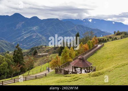 Il bellissimo paesaggio della Fattoria Qingjing a Taiwan con verdi colline sullo sfondo e un passaggio in legno circondato dal verde Foto Stock