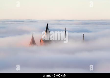 Hohenzollern Castello affondato in mare di nebbia, tramonto, Alb Svevo, Baden-Württemberg, Germania Foto Stock