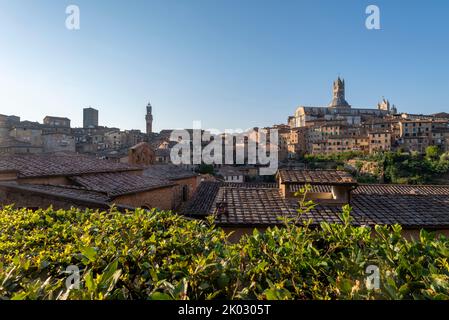 Campanile Torre del Mangia (a sinistra), Duomo di Siena (a destra), centro storico al mattino, Siena, Toscana, Italia Foto Stock