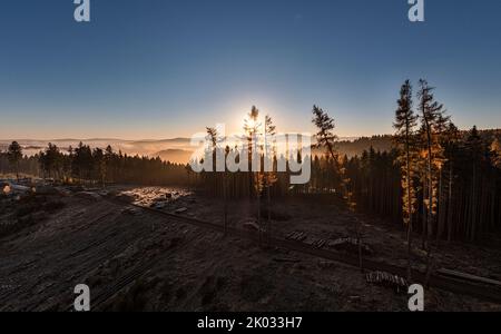 Germania, Turingia, Großbreitenbach, Wildenspring, paesaggio, Alberi, foresta, sentiero, nebbia valle Schwarza, alba, retroilluminazione Foto Stock