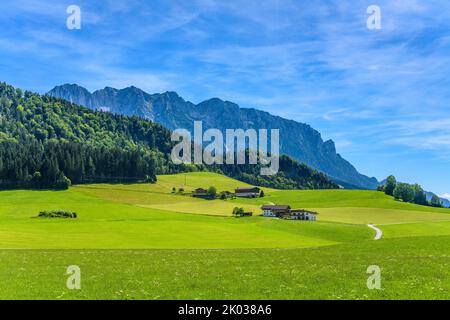 Austria, Tirolo, Kaiserwinkl, Walchsee, Schwaigs, Schwemm brughiera contro Kaiser Mountains Foto Stock