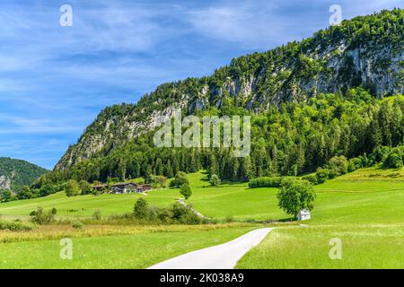 Austria, Tirolo, Kaiserwinkl, Walchsee, Schwaigs, Schwemm brughiera contro Miesberg Foto Stock