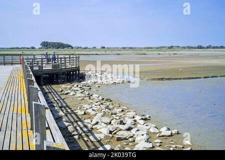 Turisti / escursionisti che riposano su una piattaforma di osservazione in legno, punto panoramico che offre vista sulle saline e gli uccelli costieri presso la riserva naturale di Zwin, Belgio Foto Stock