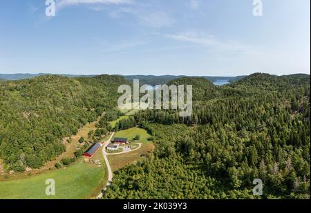 Norvegia, Vestfold og Telemark, Larvik, azienda agricola, campi, foresta, panoramica, foto aerea Foto Stock