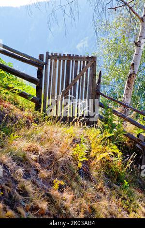 Recinzione in legno su un ripido prato di montagna alla luce del mattino nella Valle Ulten Alto Adige Foto Stock