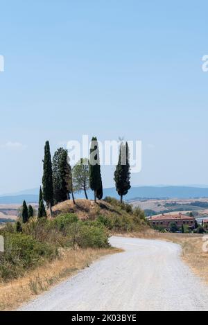 Campi di grano raccolto, tenuta con cipressi, paesaggio vicino a Siena, Toscana, Italia Foto Stock