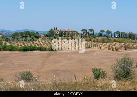 Campi di grano raccolto, tenuta con cipressi, paesaggio vicino a Siena, Toscana, Italia Foto Stock