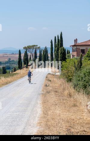 Ciclista, tenuta con cipressi, paesaggio vicino Siena, Toscana, Italia Foto Stock