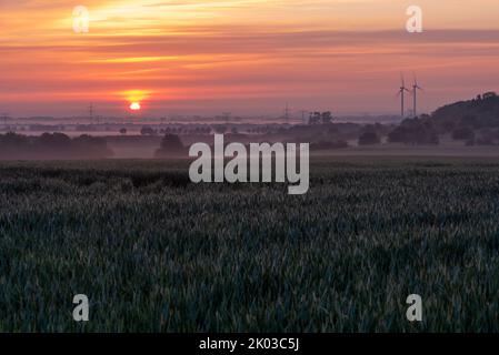 Alba a Magdeburger Börde, poli di potenza, turbine eoliche, campo di grano, Irxleben, Sassonia-Anhalt, Germania Foto Stock