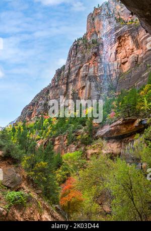 Lo Zion National Park si trova nel sud-ovest dello Utah, al confine con l'Arizona. Ha una superficie di 579 kö² e si trova tra i 1128 m e i 2660 m. di altitudine. Cascata presso la piscina Smeraldo inferiore. Foto Stock