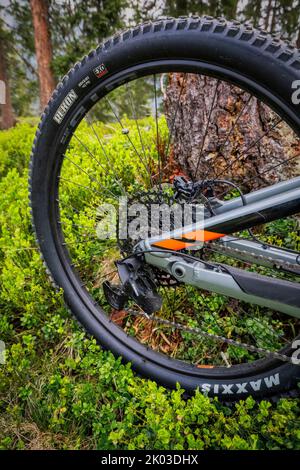 Italia, Dolomiti, dettaglio di una moderna e-bike / e-mtb nel bosco, mobilità verde Foto Stock