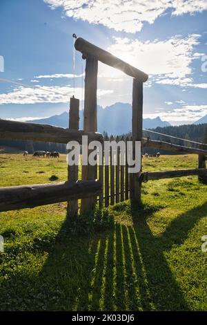 Italia, Veneto, provincia di Belluno, Cortina d'Ampezzo. Recinzione in legno chiusa da un cancello, sole filtrato e ombre sul prato verde Foto Stock