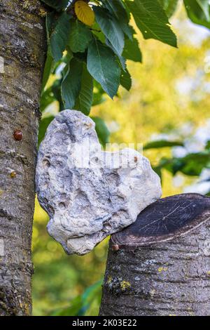 Pietra a forma di cuore, flotsam e jetsam, decorazione del giardino Foto Stock