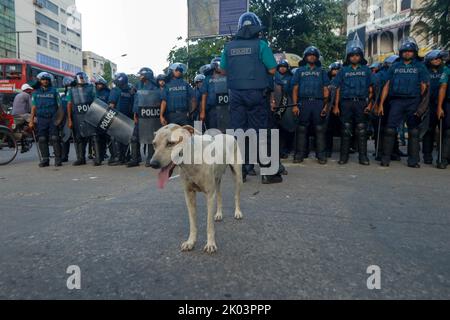 Dhaka, Dhaka, Bangladesh. 9th Set, 2022. I cercatori di lavoro bloccano l'intersezione di zona di Shahbagh che richiede il limite di età a 35 dall'estensione attuale 30 per i job.at di governo questo tempo la polizia li ha inseguiti e lathi-ha incaricato loro di disperdere themthem.almeno 20 cercatori di lavoro, donne comprese, sono stati feriti nell'azione della polizia. (Credit Image: © Abu Sufian Jewel/ZUMA Press Wire) Foto Stock