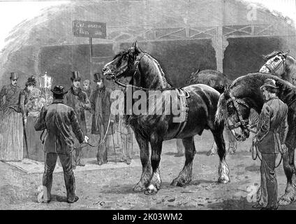 "Mostra della Shire Horse Society presso l'Agricultural Hall, Islington", 1886. Da "The Graphic. Un quotidiano settimanale illustrato Volume 33. Da gennaio a giugno, 1886". Foto Stock