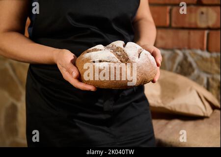 Vista ritagliata. Una casalinga panettiere in grembiule cuochi neri che tiene in mano una pagnotta di pane di grano intero caldo appena sfornato Foto Stock