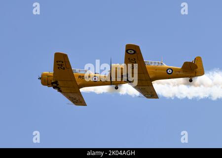 North American Harvards at Boundary Bay BC Canada Foto Stock