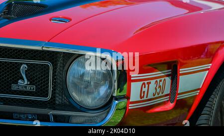 DEARBORN, MI/USA - 18 GIUGNO 2022: Primo piano del 1970 Shelby Ford Mustang GT 350 alla fiera automobilistica Henry Ford (THF) Motor Muster, Greenfield Village. Foto Stock