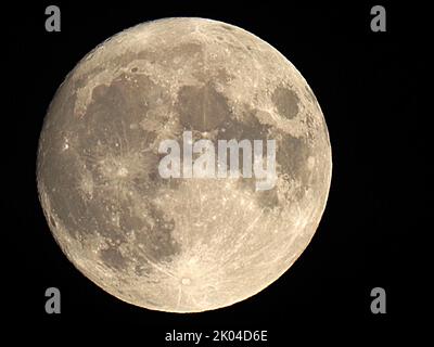 Sheerness, Kent, Regno Unito. 9th Set, 2022. UK Weather: L'intera Harvest Moon vista salire sopra Sheerness, Kent questa sera. Credit: James Bell/Alamy Live News Foto Stock