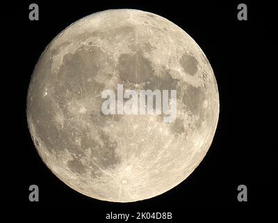 Sheerness, Kent, Regno Unito. 9th Set, 2022. UK Weather: L'intera Harvest Moon vista salire sopra Sheerness, Kent questa sera. Credit: James Bell/Alamy Live News Foto Stock