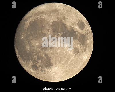 Sheerness, Kent, Regno Unito. 9th Set, 2022. UK Weather: L'intera Harvest Moon vista salire sopra Sheerness, Kent questa sera. Credit: James Bell/Alamy Live News Foto Stock