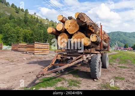 Il rimorchio pieno di tronchi di cedro spessi si trova su una strada a Altay, Siberia, Russia Foto Stock