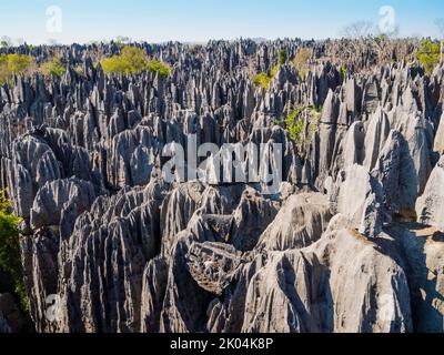 Vista panoramica delle formazioni calcaree nel Parco Nazionale di Tsingy de Bemaraha, Madagascar Foto Stock