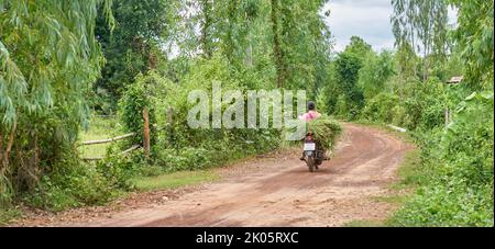 Un coltivatore trasporta erba verde fresca su una motocicletta nella Thailandia rurale. Foto Stock