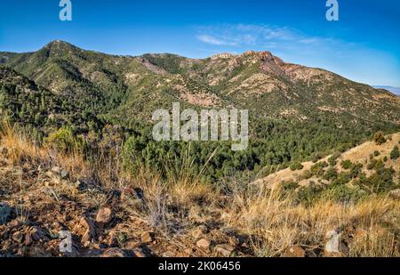 Vista sul Mormon Canyon, Johnson Peak sulla destra, dal Mormon Ridge Trail, dalle montagne Chiricahua, dalla Coronado National Forest, Arizona, USA Foto Stock