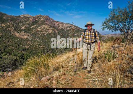 Escursionista sul Mormon Ridge Trail, vista sul Mormon Canyon, Johnson Peak, Chiricahua Mountains, Coronado National Forest, Arizona, STATI UNITI Foto Stock