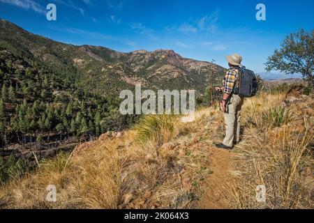 Escursionista sul Mormon Ridge Trail, vista sul Mormon Canyon, Johnson Peak, Chiricahua Mountains, Coronado National Forest, Arizona, STATI UNITI Foto Stock