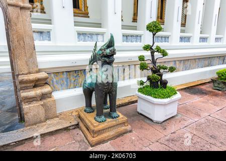 Albero di Bonsai nel tempio di Wat Pho, Bangkok. Foto Stock