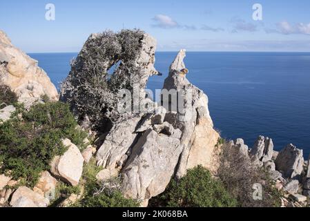 Costa rocciosa della Sardegna Foto Stock