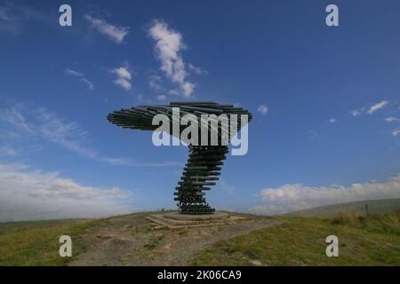 The Ringing Singing Tree quasi Burnley in Lancashire, Regno Unito Foto Stock