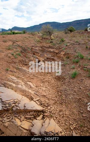 Brachina formazione Shale - Flinders Ranges - Australia Foto Stock