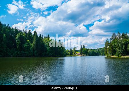 Germania, lago Ebnisee acqua natura paesaggio tra alberi verdi di foresta vicino a welzheim e kaisersbach Foto Stock