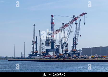 Gru al porto, Warnemünde, Rostock, Meclemburgo-Pomerania occidentale, Germania Foto Stock